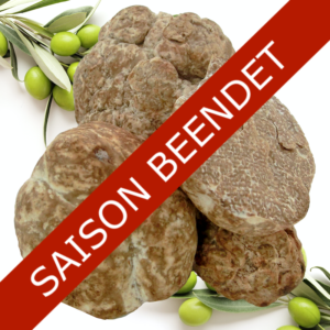 Trüffel Tuber Oligospermum - Nicht auf Lager